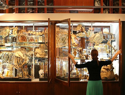 Grant Museum of Zoology, London